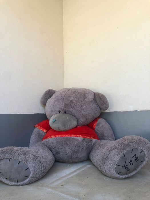 Медведь в продаже