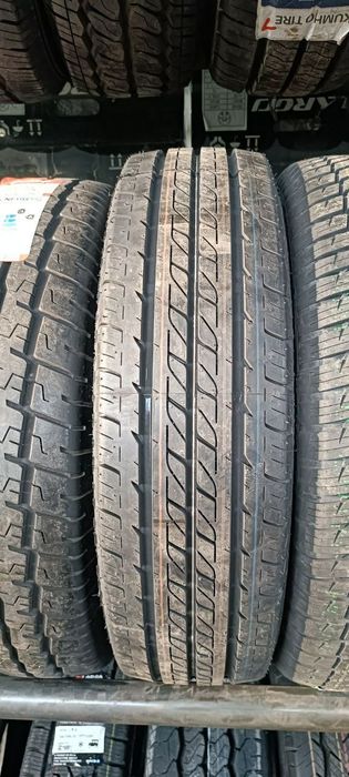 Lassa competus A/T 3