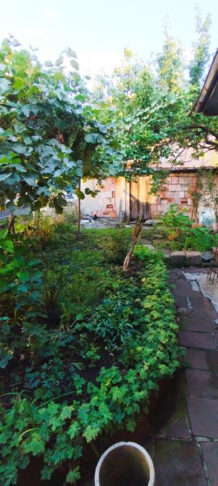 Продава се Къща в Перник, Могиличе - 50 кв.м за 1846 €/кв.м - Снимка #4