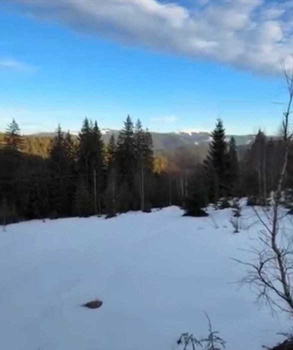 Vând teren intravilan Bucovina Pojorata