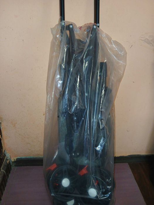 Carucior 2 in 1 clasic landou