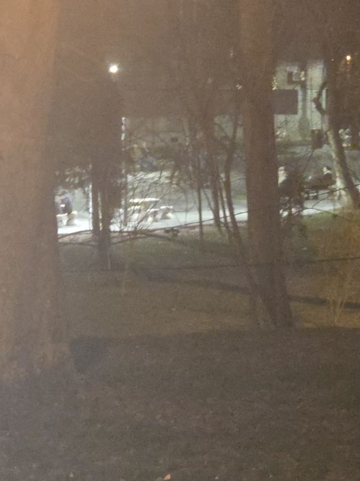 Regim hotelier centru/ faleza