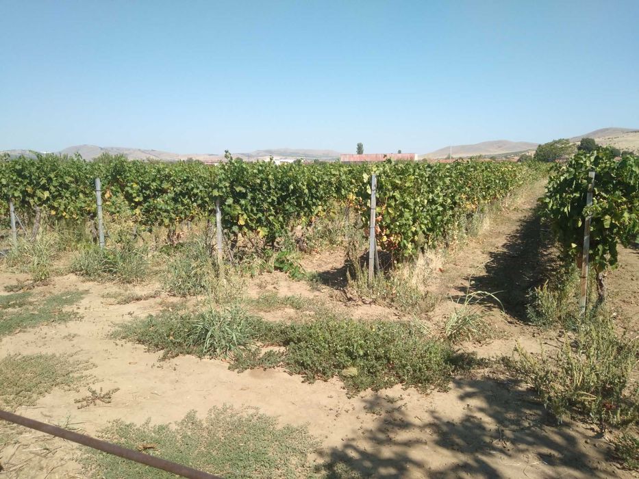 Продава се Къща в Кричим - 300 кв.м за 584 €/кв.м - Снимка #23