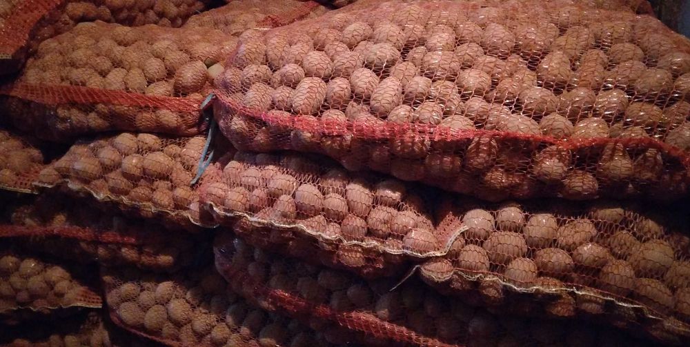 Cartofi consum şi sămânță de vânzare.