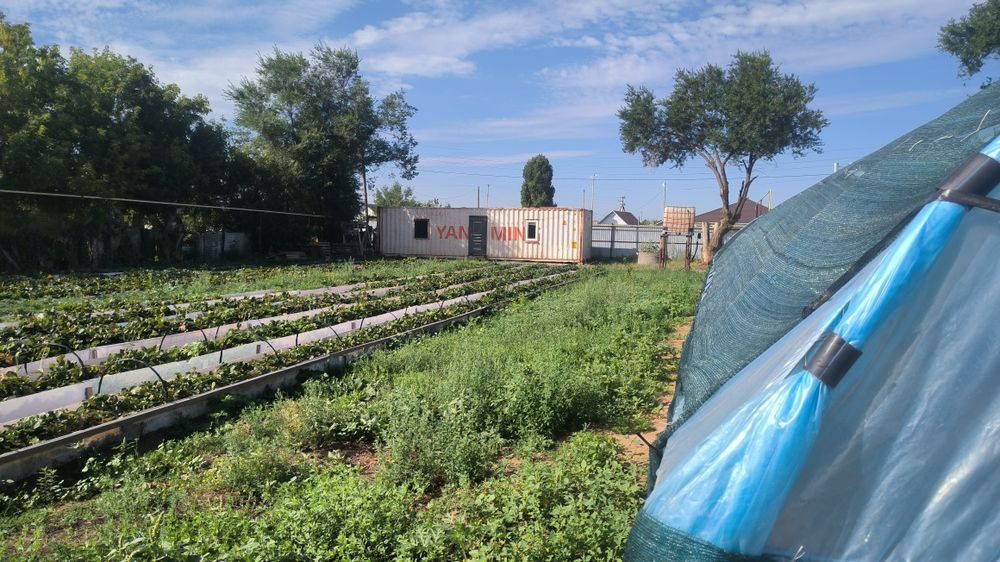 Продается ЛПХ с базой и теплицами.