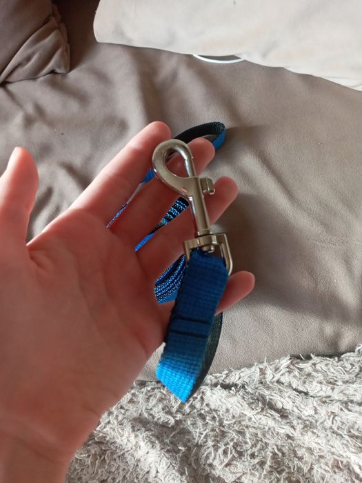 Поводок для собаки 1.5 метра