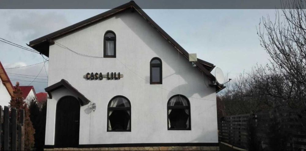 Set usa si ferestre arcada/boltite lemn stratificat