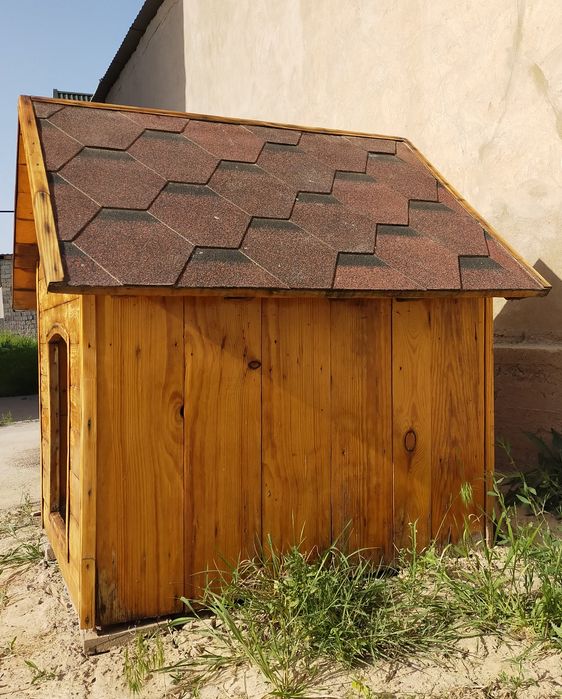 Бутка  для собак