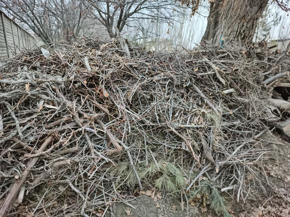 Bir ISUZU yuk moshin o'tin va kunda bor. Narxi 3 mln (bo'lishi shu).