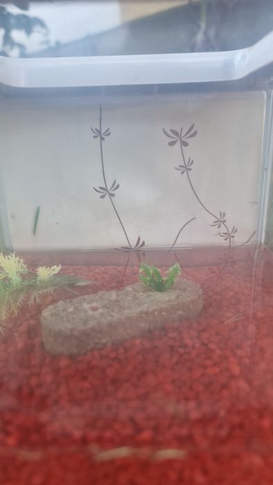 Acvariu de pești Marina beta kit