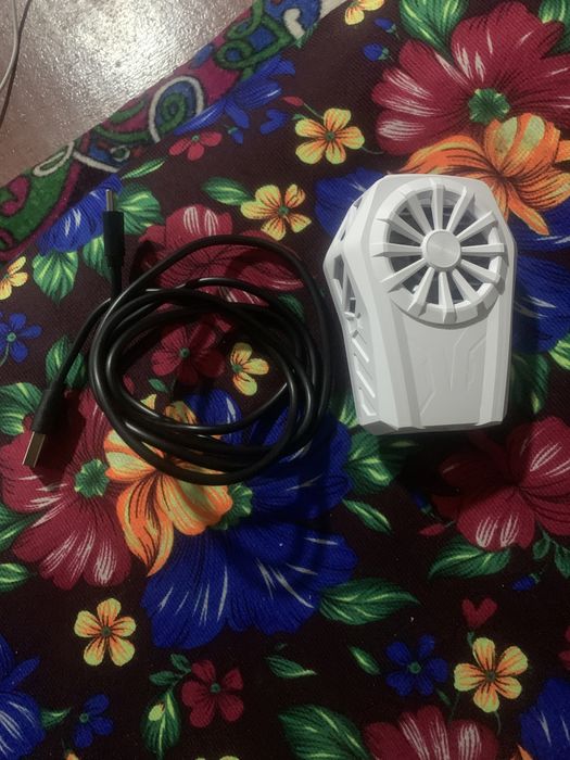 Kuller sotiladi oʻyinlar uchun