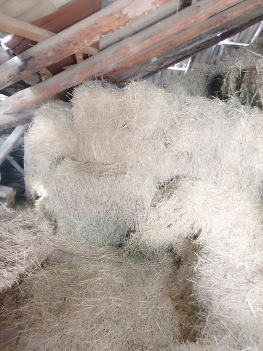 Сено прес большие пресы