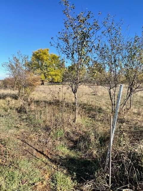 Teren pentru casă, 680 mp – 20 min de Timișoara, Dragșina