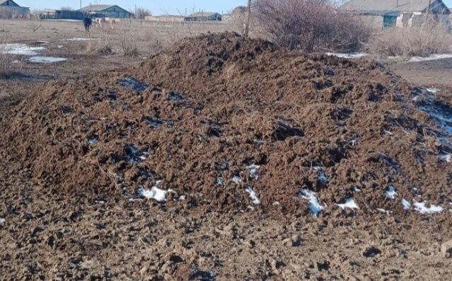 Отдам Даром навоз