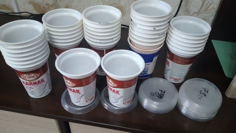 Стакан для отростков 37шт-1000тг