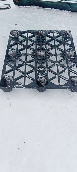 Продам поддоны плосмасовые