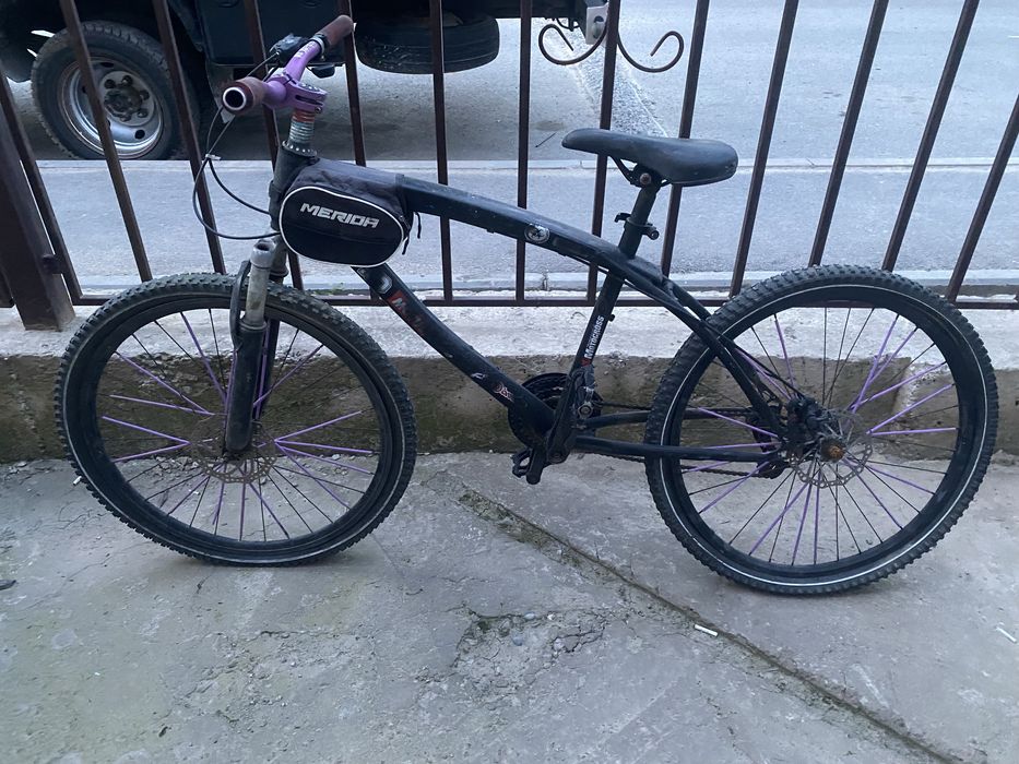 Стант велик шымкент