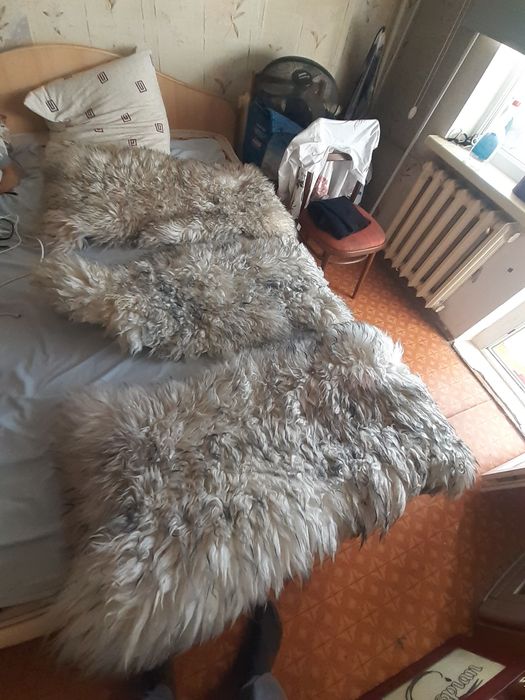 Продам козлиные шкуры