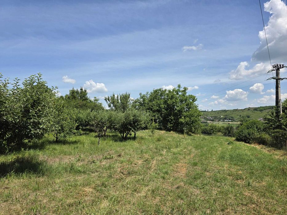 Teren intravilan – 3 loturi egale – Str. Săvenilor, Botoșani