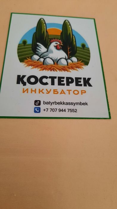 Инкубатор сатылады