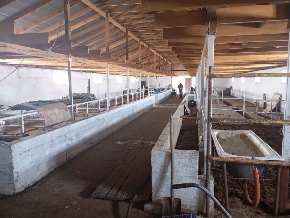 Откорм база вблизи Астаны