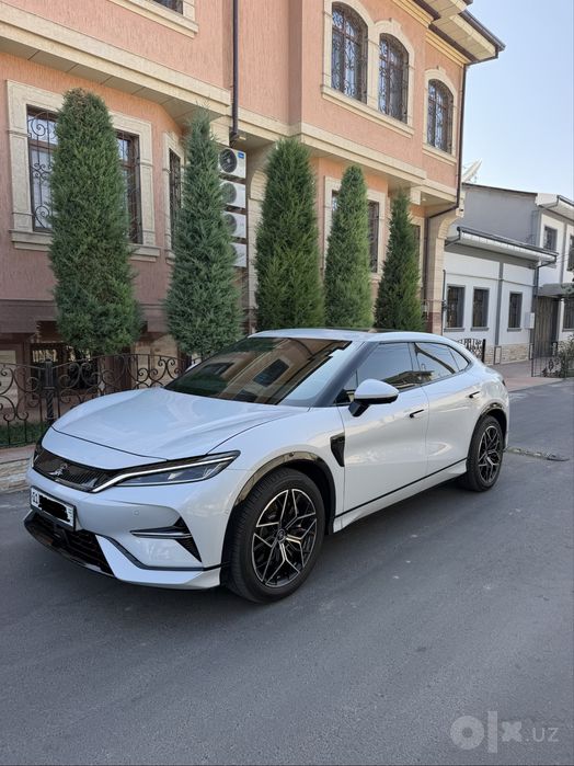 Byd song l full 2024 yil