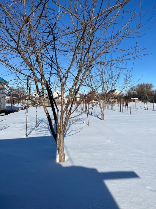 Продам дачный участок