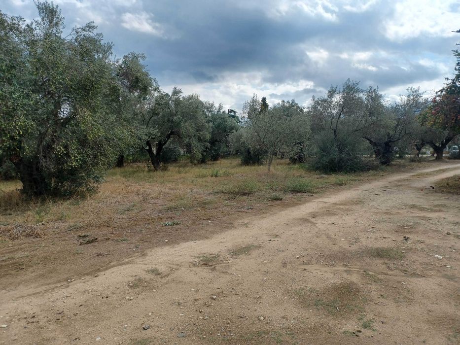 Продава се парцел 680 м2 в регулация в Неа Врасна, Гърция