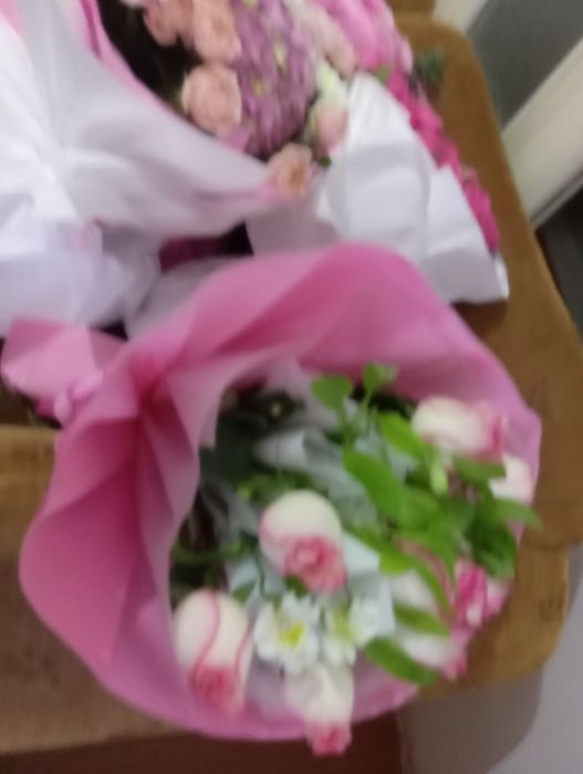 Цветы Гүлдер  бүгінгі