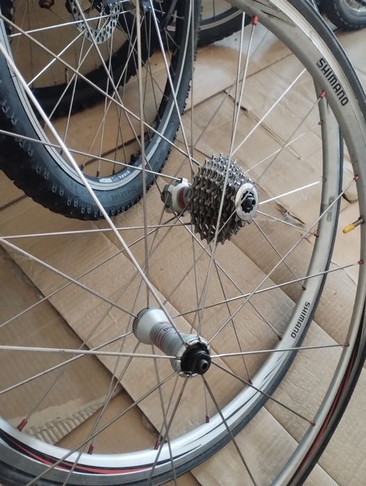 roti cursiera Shimano