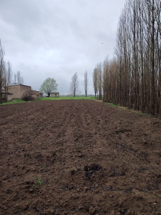 20sotix yer sotiladi