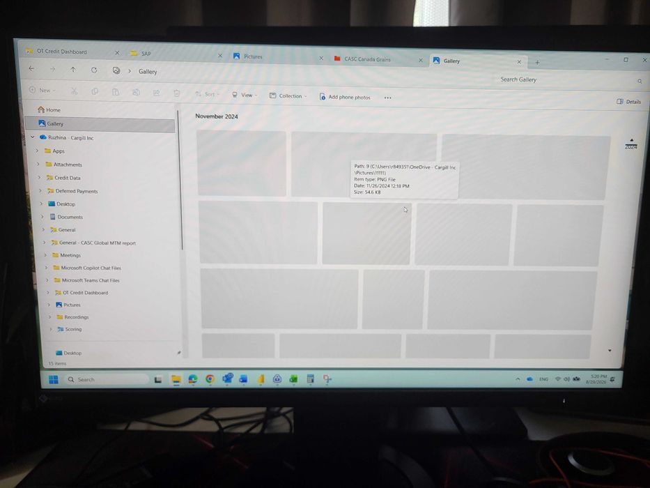 Монитор EIZO FlexScan 23.8" EV2460 на 819 работни часа