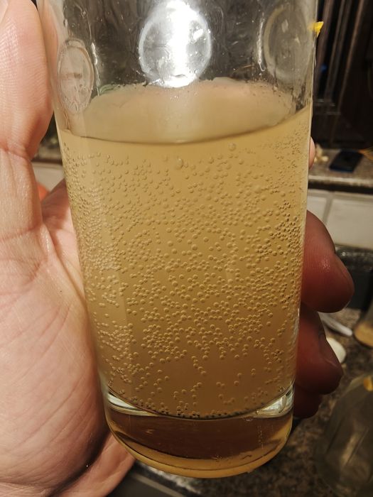 Kefir de lapte și chefir de apă