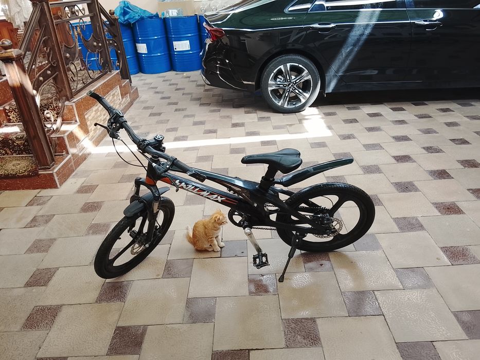 Velosiped skillmax 2024