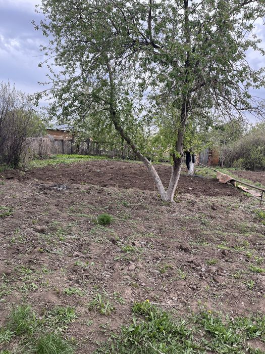 Продаю дачу  сортировка!