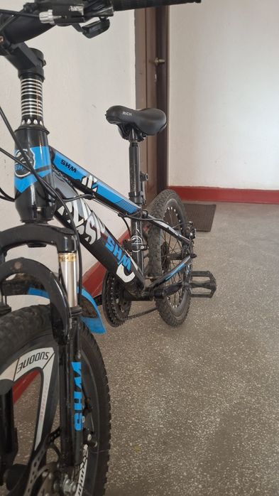 Bicicleta 20 inch copiii
