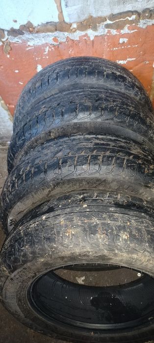 Шины летние Tunga Zodiac 2