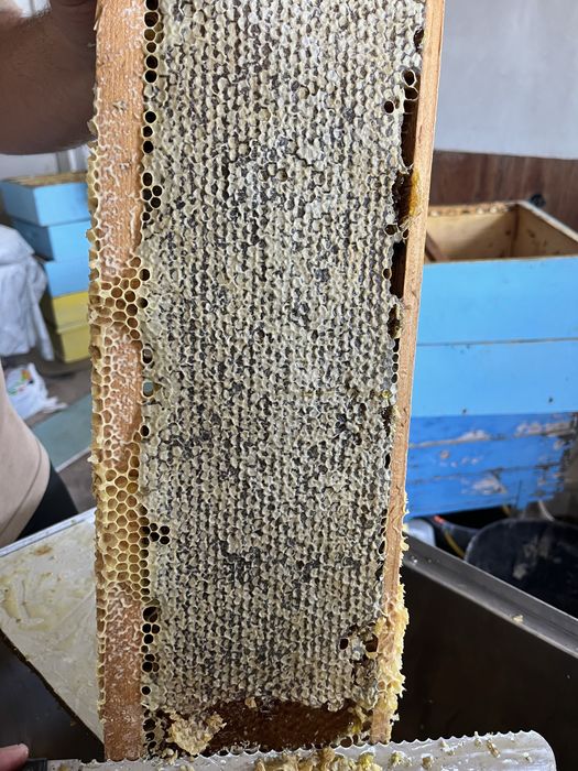 Пчелен мед “Букет”