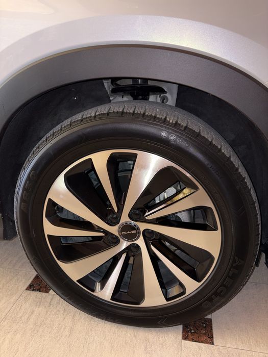 Byd Chempion 150km