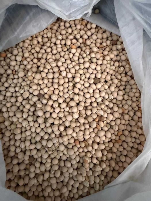 vand cereale, ovaz, mazare, porumb, soia, grau