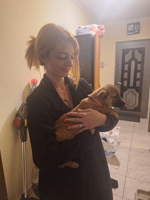 Adopție catelusa de 2 luni