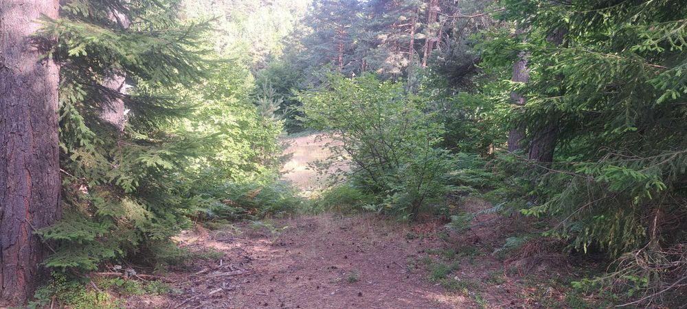 Продава се земя в Родопите