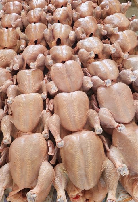 Продам мясо курицы «халяль»