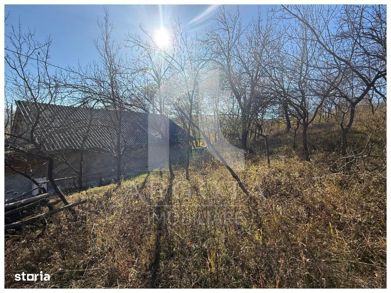 Teren Cozieni - Valea Banului | Comision Zero