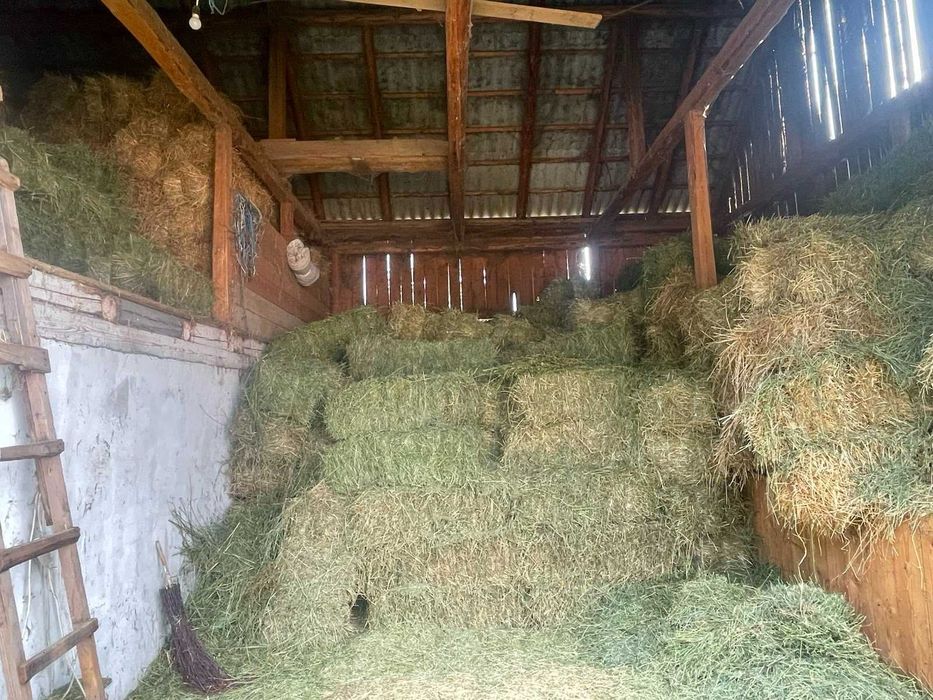 Vând baloți de lucernă și fân  jud.Suceava