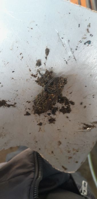 Промивка,машинно отпушваве на авто парно,радиатори и интеркулери.