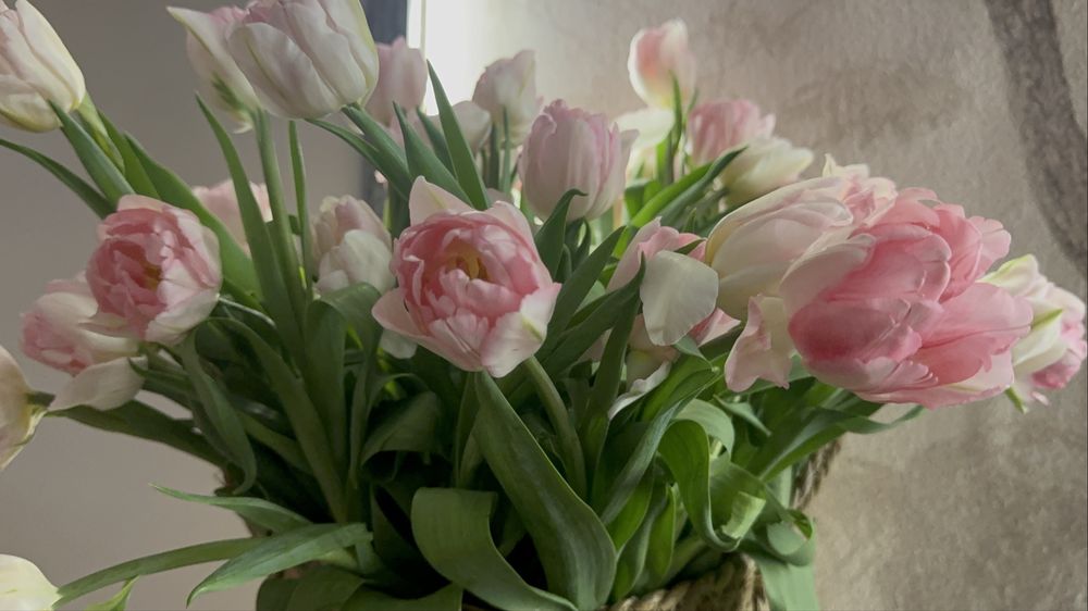 Тюльпаны букеты алматы