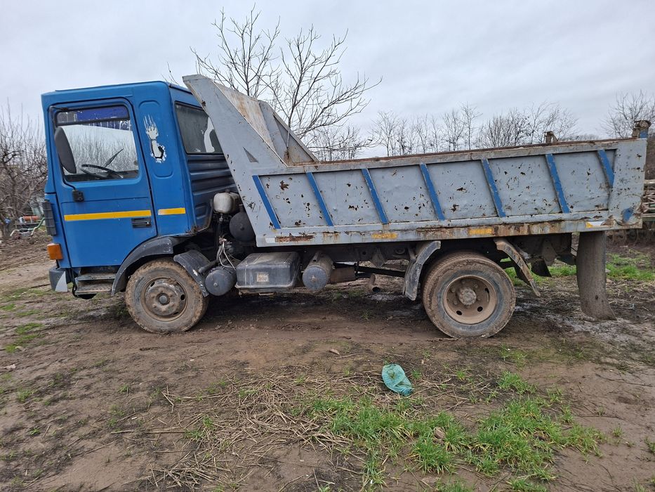 Frumumoasa Americana