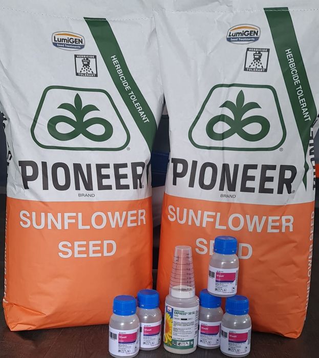 Samanta  Monsanto Pio Syngenta