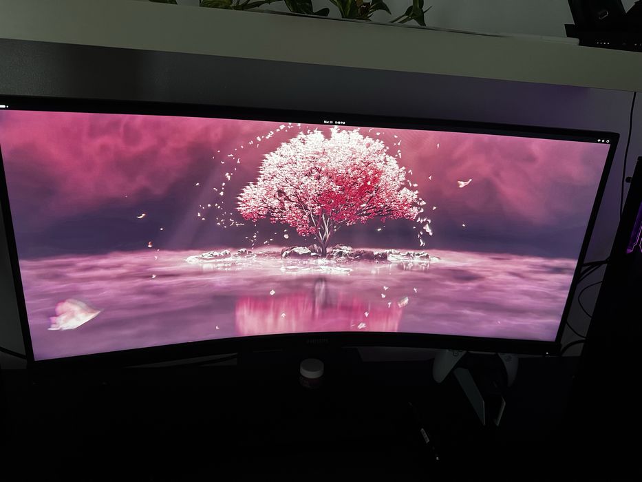 Monitor Curbat Philips
